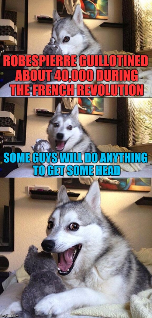 This is a terrible one but i couldn't resist! | ROBESPIERRE GUILLOTINED ABOUT 40,000 DURING THE FRENCH REVOLUTION; SOME GUYS WILL DO ANYTHING TO GET SOME HEAD | image tagged in memes,bad pun dog,funny,funny memes | made w/ Imgflip meme maker