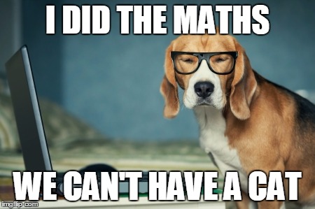 I DID THE MATHS; WE CAN'T HAVE A CAT | image tagged in dog logic | made w/ Imgflip meme maker
