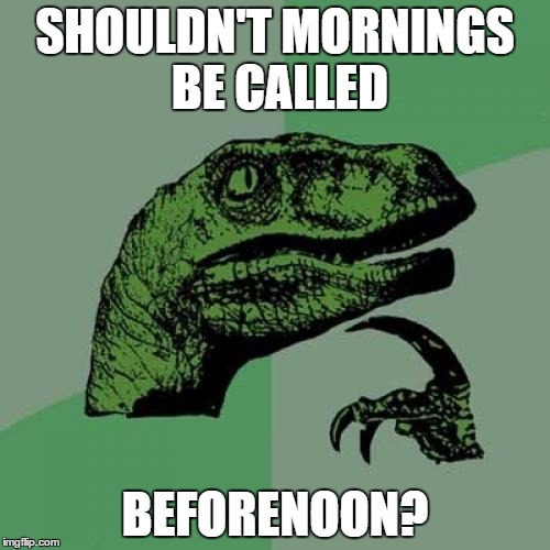 Philosoraptor | SHOULDN'T MORNINGS BE CALLED; BEFORENOON? | image tagged in memes,philosoraptor | made w/ Imgflip meme maker