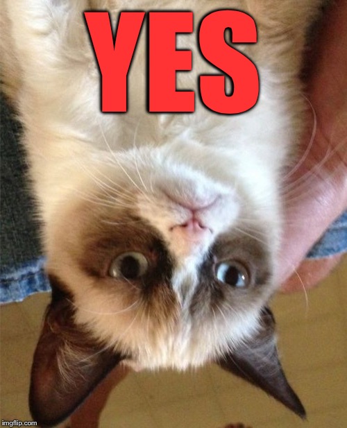 Grumpy Cat Meme | YES | image tagged in memes,grumpy cat | made w/ Imgflip meme maker