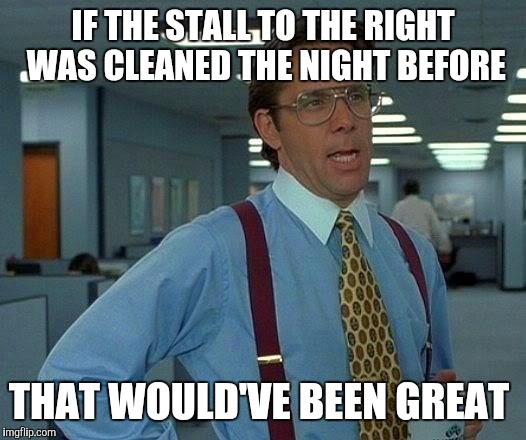 That Would Be Great Meme | IF THE STALL TO THE RIGHT WAS CLEANED THE NIGHT BEFORE THAT WOULD'VE BEEN GREAT | image tagged in memes,that would be great | made w/ Imgflip meme maker