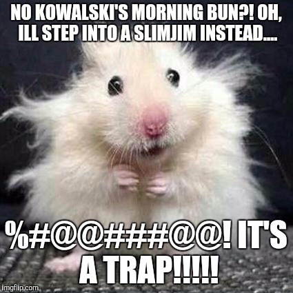Stressed Mouse | NO KOWALSKI'S MORNING BUN?! OH, ILL STEP INTO A SLIMJIM INSTEAD.... %#@@###@@! IT'S A TRAP!!!!! | image tagged in stressed mouse | made w/ Imgflip meme maker