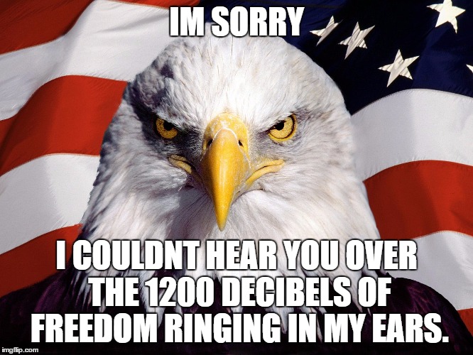 IM SORRY I COULDNT HEAR YOU OVER THE 1200 DECIBELS OF FREEDOM RINGING IN MY EARS. | made w/ Imgflip meme maker