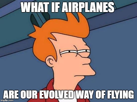 Futurama Fry Meme | WHAT IF AIRPLANES; ARE OUR EVOLVED WAY OF FLYING | image tagged in memes,futurama fry | made w/ Imgflip meme maker