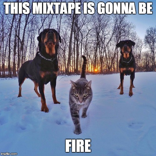 Pet Mixtape | THIS MIXTAPE IS GONNA BE; FIRE | image tagged in funny memes,memes,cats,dogs | made w/ Imgflip meme maker