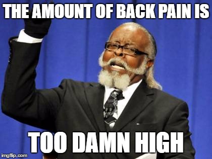 Too Damn High Meme | THE AMOUNT OF BACK PAIN IS TOO DAMN HIGH | image tagged in memes,too damn high | made w/ Imgflip meme maker