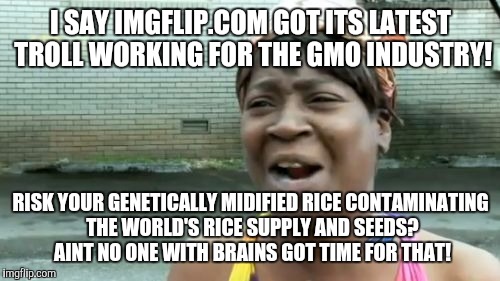 Ain't Nobody Got Time For That Meme | I SAY IMGFLIP.COM GOT ITS LATEST TROLL WORKING FOR THE GMO INDUSTRY! RISK YOUR GENETICALLY MIDIFIED RICE CONTAMINATING THE WORLD'S RICE SUPP | image tagged in memes,aint nobody got time for that | made w/ Imgflip meme maker