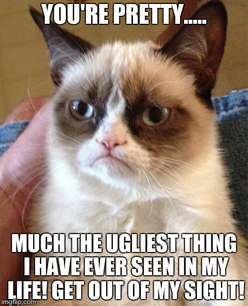 The most misleading compliment ever. | YOU'RE PRETTY..... MUCH THE UGLIEST THING I HAVE EVER SEEN IN MY LIFE! GET OUT OF MY SIGHT! | image tagged in memes,grumpy cat | made w/ Imgflip meme maker