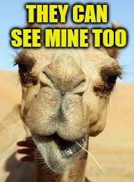 THEY CAN SEE MINE TOO | made w/ Imgflip meme maker