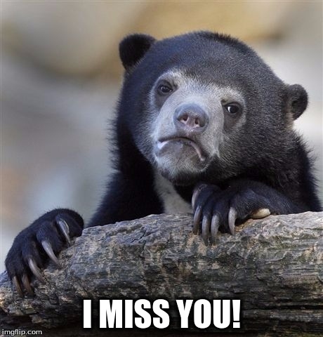 Confession Bear | I MISS YOU! | image tagged in memes,confession bear | made w/ Imgflip meme maker