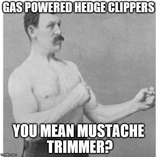 Overly Manly Man | GAS POWERED HEDGE CLIPPERS; YOU MEAN MUSTACHE TRIMMER? | image tagged in memes,overly manly man | made w/ Imgflip meme maker