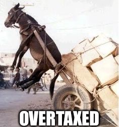 Overloaded donkey | OVERTAXED | image tagged in overloaded donkey | made w/ Imgflip meme maker