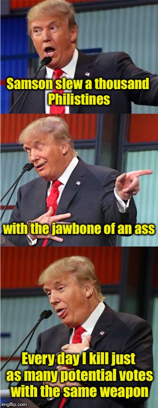 I won't vote for Clinton and I don't want to waste it on a write-in ore 3rd party candidate. But dang . . . | Samson slew a thousand Philistines; with the jawbone of an ass; Every day I kill just as many potential votes with the same weapon | image tagged in bad pun trump | made w/ Imgflip meme maker