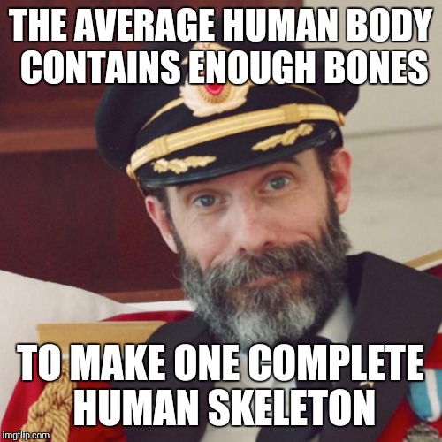 Captain Obvious | THE AVERAGE HUMAN BODY CONTAINS ENOUGH BONES; TO MAKE ONE COMPLETE HUMAN SKELETON | image tagged in captain obvious | made w/ Imgflip meme maker