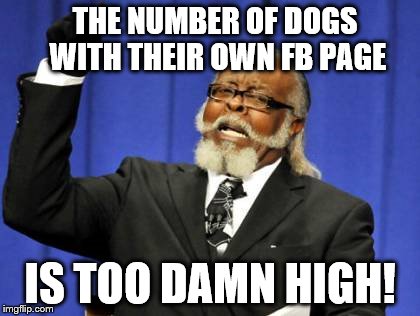 Too Damn High | THE NUMBER OF DOGS WITH THEIR OWN FB PAGE; IS TOO DAMN HIGH! | image tagged in memes,too damn high | made w/ Imgflip meme maker