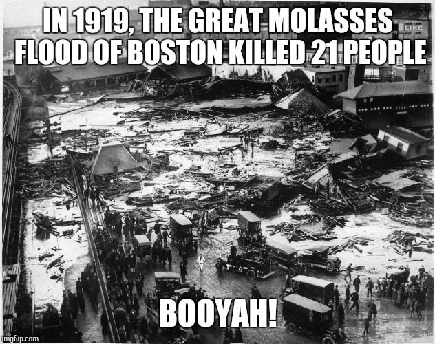 IN 1919, THE GREAT MOLASSES FLOOD OF BOSTON KILLED 21 PEOPLE BOOYAH! | made w/ Imgflip meme maker