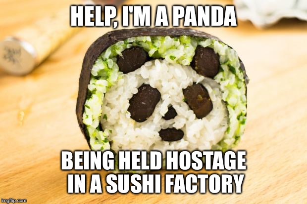Third submission - sushi!  (Actually Maki but hey not too many people know the difference) | HELP, I'M A PANDA; BEING HELD HOSTAGE IN A SUSHI FACTORY | image tagged in panda sushi,memes | made w/ Imgflip meme maker
