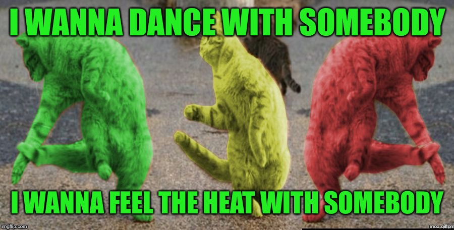 Can I guard your body tonight? | I WANNA DANCE WITH SOMEBODY; I WANNA FEEL THE HEAT WITH SOMEBODY | image tagged in three dancing raycats,memes | made w/ Imgflip meme maker