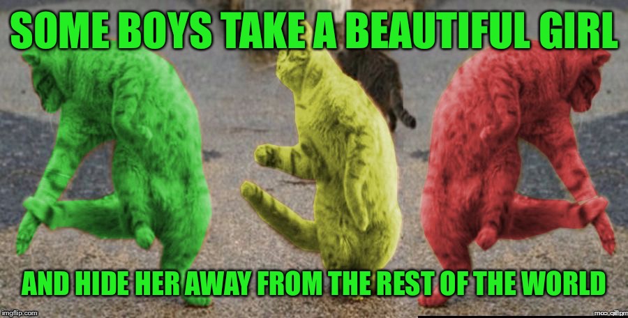 These cats just wanna have fun! | SOME BOYS TAKE A BEAUTIFUL GIRL; AND HIDE HER AWAY FROM THE REST OF THE WORLD | image tagged in three dancing raycats,memes | made w/ Imgflip meme maker