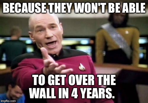 Picard Wtf Meme | BECAUSE THEY WON'T BE ABLE TO GET OVER THE WALL IN 4 YEARS. | image tagged in memes,picard wtf | made w/ Imgflip meme maker