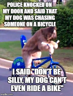 Dog On Bike | POLICE KNOCKED ON MY DOOR AND SAID THAT MY DOG WAS CHASING SOMEONE ON A BICYCLE; I SAID "DON'T BE SILLY, MY DOG CAN'T EVEN RIDE A BIKE" | image tagged in dogs,funny dogs,police,silly meme,funny meme,funny animals | made w/ Imgflip meme maker