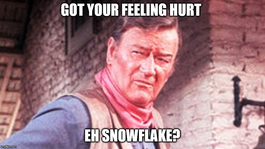 GOT YOUR FEELING HURT EH SNOWFLAKE? | made w/ Imgflip meme maker