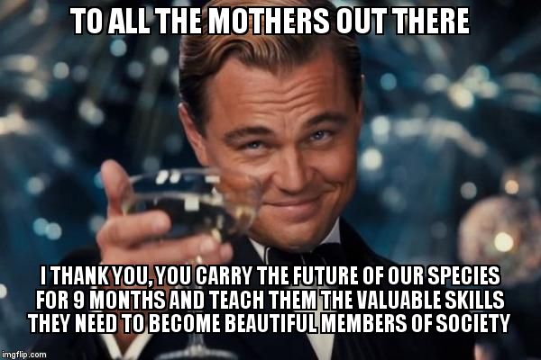 Sorry for all the words, but this needed to be said | TO ALL THE MOTHERS OUT THERE; I THANK YOU, YOU CARRY THE FUTURE OF OUR SPECIES FOR 9 MONTHS AND TEACH THEM THE VALUABLE SKILLS THEY NEED TO BECOME BEAUTIFUL MEMBERS OF SOCIETY | image tagged in leonardo dicaprio cheers,mothers | made w/ Imgflip meme maker