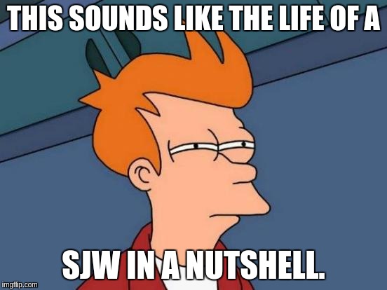 Futurama Fry Meme | THIS SOUNDS LIKE THE LIFE OF A SJW IN A NUTSHELL. | image tagged in memes,futurama fry | made w/ Imgflip meme maker