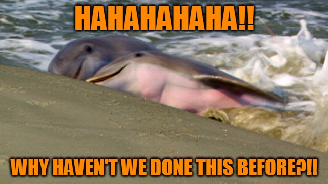 Good Times... | HAHAHAHAHA!! WHY HAVEN'T WE DONE THIS BEFORE?!! | image tagged in memes,beached dolphins,laughing dolphins,probably dead dolphins,good times,headfoot | made w/ Imgflip meme maker