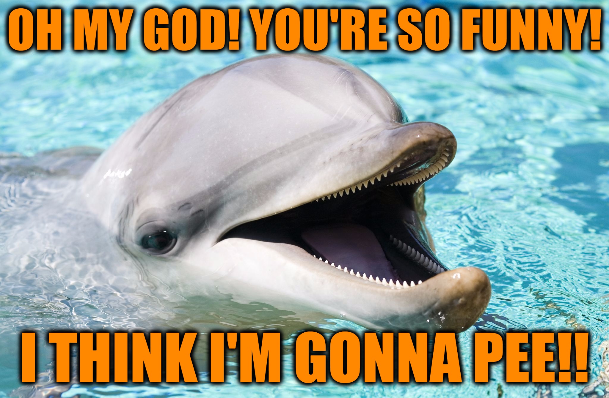 Peepee dolphin... | OH MY GOD! YOU'RE SO FUNNY! I THINK I'M GONNA PEE!! | image tagged in memes,laughing dolphin,don't pee in the pool,bladder control,oh my god,headfoot | made w/ Imgflip meme maker