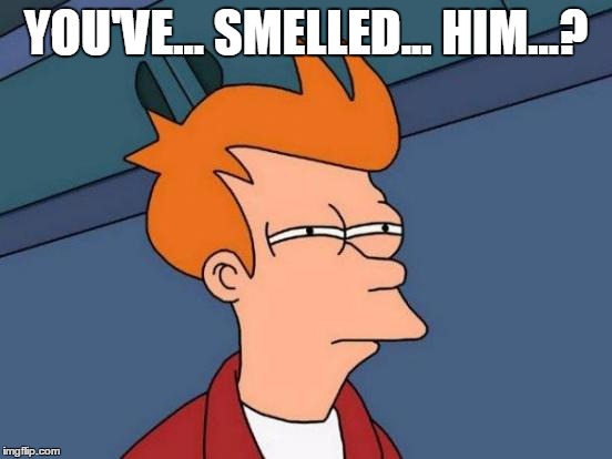 Futurama Fry Meme | YOU'VE... SMELLED... HIM...? | image tagged in memes,futurama fry | made w/ Imgflip meme maker