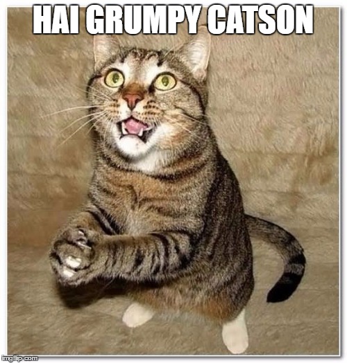 HAI GRUMPY CATSON | made w/ Imgflip meme maker
