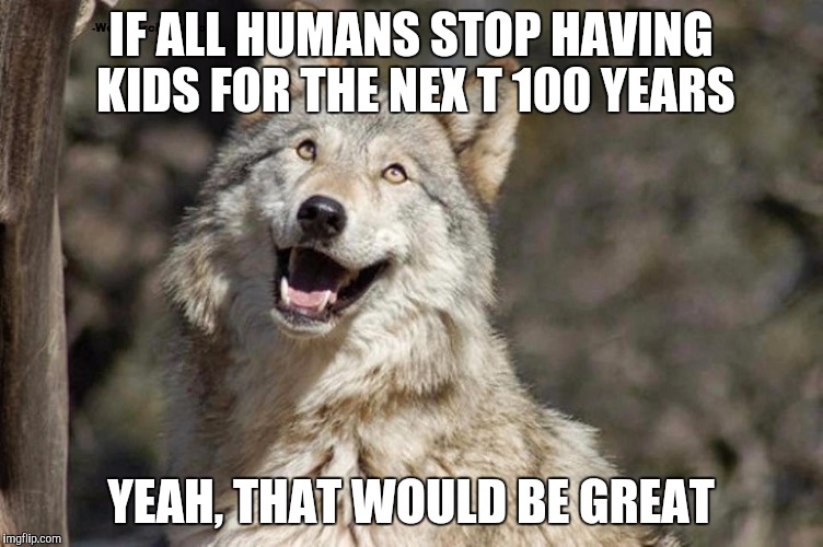 Optimistic Moon Moon Wolf Vanadium Wolf | IF ALL HUMANS STOP HAVING KIDS FOR THE NEX T 100 YEARS; YEAH, THAT WOULD BE GREAT | image tagged in optimistic moon moon wolf vanadium wolf | made w/ Imgflip meme maker