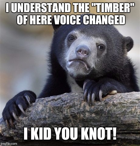 Confession Bear Meme | I UNDERSTAND THE "TIMBER" OF HERE VOICE CHANGED I KID YOU KNOT! | image tagged in memes,confession bear | made w/ Imgflip meme maker