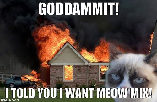 Burn Kitty | GODDAMMIT! I TOLD YOU I WANT MEOW MIX! | image tagged in memes,burn kitty | made w/ Imgflip meme maker