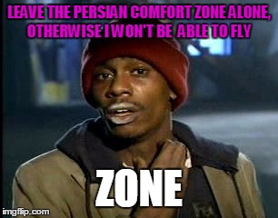 Y'all Got Any More Of That Meme | LEAVE THE PERSIAN COMFORT ZONE ALONE, OTHERWISE I WON'T BE  ABLE TO FLY ZONE | image tagged in memes,yall got any more of | made w/ Imgflip meme maker
