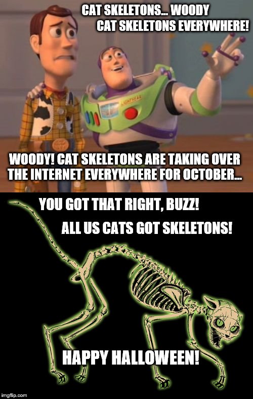 Cat skeletons everywhere for October... Happy Halloween! | CAT SKELETONS... WOODY; CAT SKELETONS EVERYWHERE! WOODY! CAT SKELETONS ARE TAKING OVER THE INTERNET EVERYWHERE FOR OCTOBER... YOU GOT THAT RIGHT, BUZZ! ALL US CATS GOT SKELETONS! HAPPY HALLOWEEN! | image tagged in memes,funny,cats,skeletons,halloween,x x everywhere | made w/ Imgflip meme maker