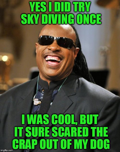 Stevie Wonder | YES I DID TRY SKY DIVING ONCE; I WAS COOL, BUT IT SURE SCARED THE CRAP OUT OF MY DOG | image tagged in stevie wonder | made w/ Imgflip meme maker
