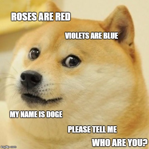 Doge | ROSES ARE RED; VIOLETS ARE BLUE; MY NAME IS DOGE; PLEASE TELL ME; WHO ARE YOU? | image tagged in memes,doge | made w/ Imgflip meme maker