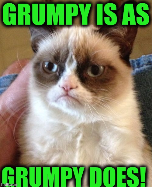 Grumpy Gump! | GRUMPY IS AS; GRUMPY DOES! | image tagged in memes,grumpy cat | made w/ Imgflip meme maker