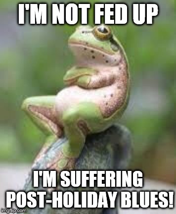 Fed Up Frog | I'M NOT FED UP; I'M SUFFERING POST-HOLIDAY BLUES! | image tagged in fed up frog | made w/ Imgflip meme maker