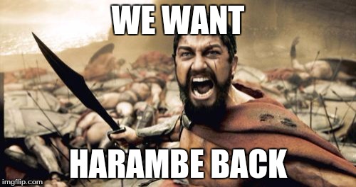 Sparta Leonidas Meme | WE WANT; HARAMBE BACK | image tagged in memes,sparta leonidas | made w/ Imgflip meme maker