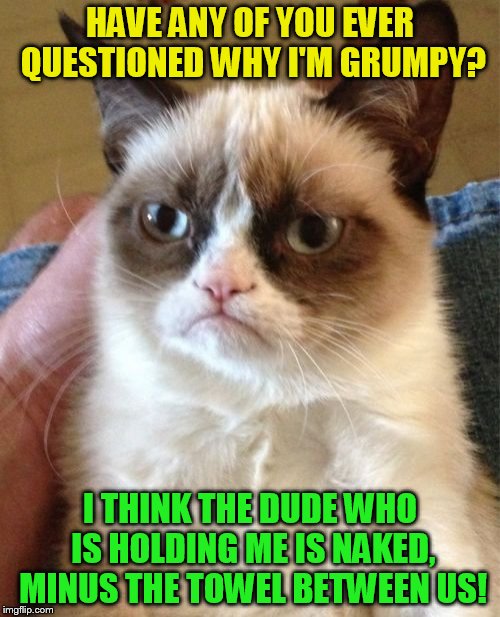 Have you ever wondered what  the guy holding grumpy cat is wearing? | HAVE ANY OF YOU EVER QUESTIONED WHY I'M GRUMPY? I THINK THE DUDE WHO IS HOLDING ME IS NAKED, MINUS THE TOWEL BETWEEN US! | image tagged in memes,grumpy cat,naked,funny meme,jean shorts,towel | made w/ Imgflip meme maker