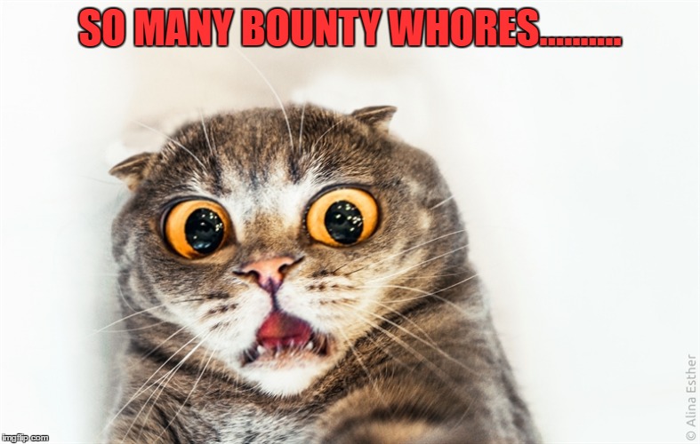 SO MANY BOUNTY WHORES.......... | made w/ Imgflip meme maker