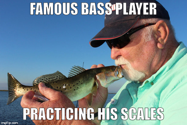 musical fish | FAMOUS BASS PLAYER; PRACTICING HIS SCALES | image tagged in music,fish,scales,bass | made w/ Imgflip meme maker