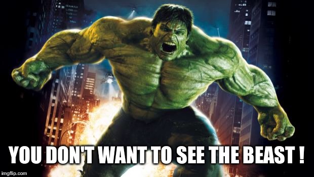 Incredible Hulk |  YOU DON'T WANT TO SEE THE BEAST ! | image tagged in incredible hulk | made w/ Imgflip meme maker