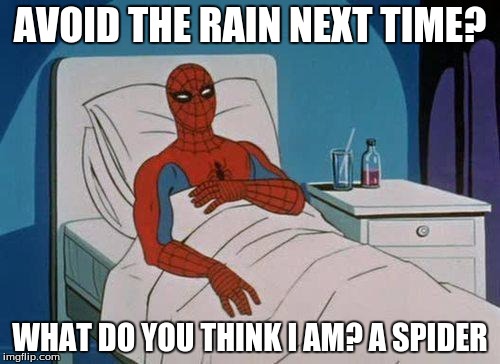 "Spider"man | AVOID THE RAIN NEXT TIME? WHAT DO YOU THINK I AM? A SPIDER | image tagged in memes,spiderman hospital,spiderman,idiot,wtf,stupid | made w/ Imgflip meme maker