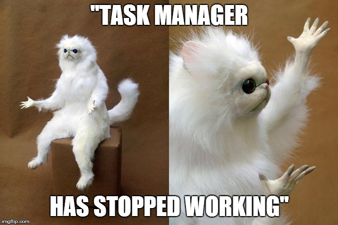Persian Cat Room Guardian Meme | "TASK MANAGER; HAS STOPPED WORKING" | image tagged in memes,persian cat room guardian | made w/ Imgflip meme maker