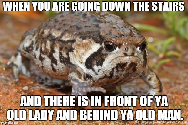 Grumpy Toad | WHEN YOU ARE GOING DOWN THE STAIRS; AND THERE IS IN FRONT OF YA OLD LADY AND BEHIND YA OLD MAN. | image tagged in memes,grumpy toad | made w/ Imgflip meme maker