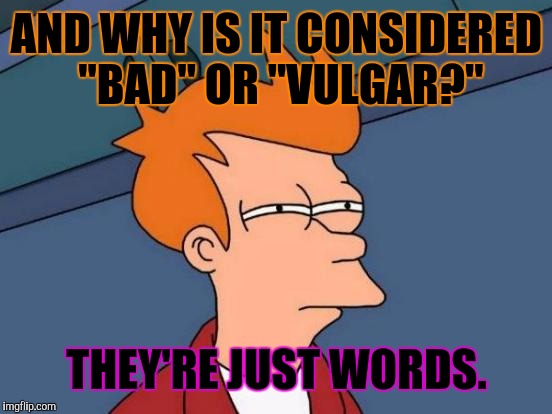 Futurama Fry Meme | AND WHY IS IT CONSIDERED "BAD" OR "VULGAR?" THEY'RE JUST WORDS. | image tagged in memes,futurama fry | made w/ Imgflip meme maker